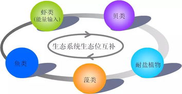 浙江省海洋水产研究所多生态位设施化耦合养殖技术开发及应用荣获省科技进步三等奖